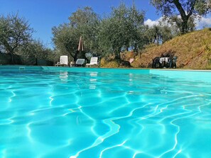 Outdoor pool, pool umbrellas, sun loungers
