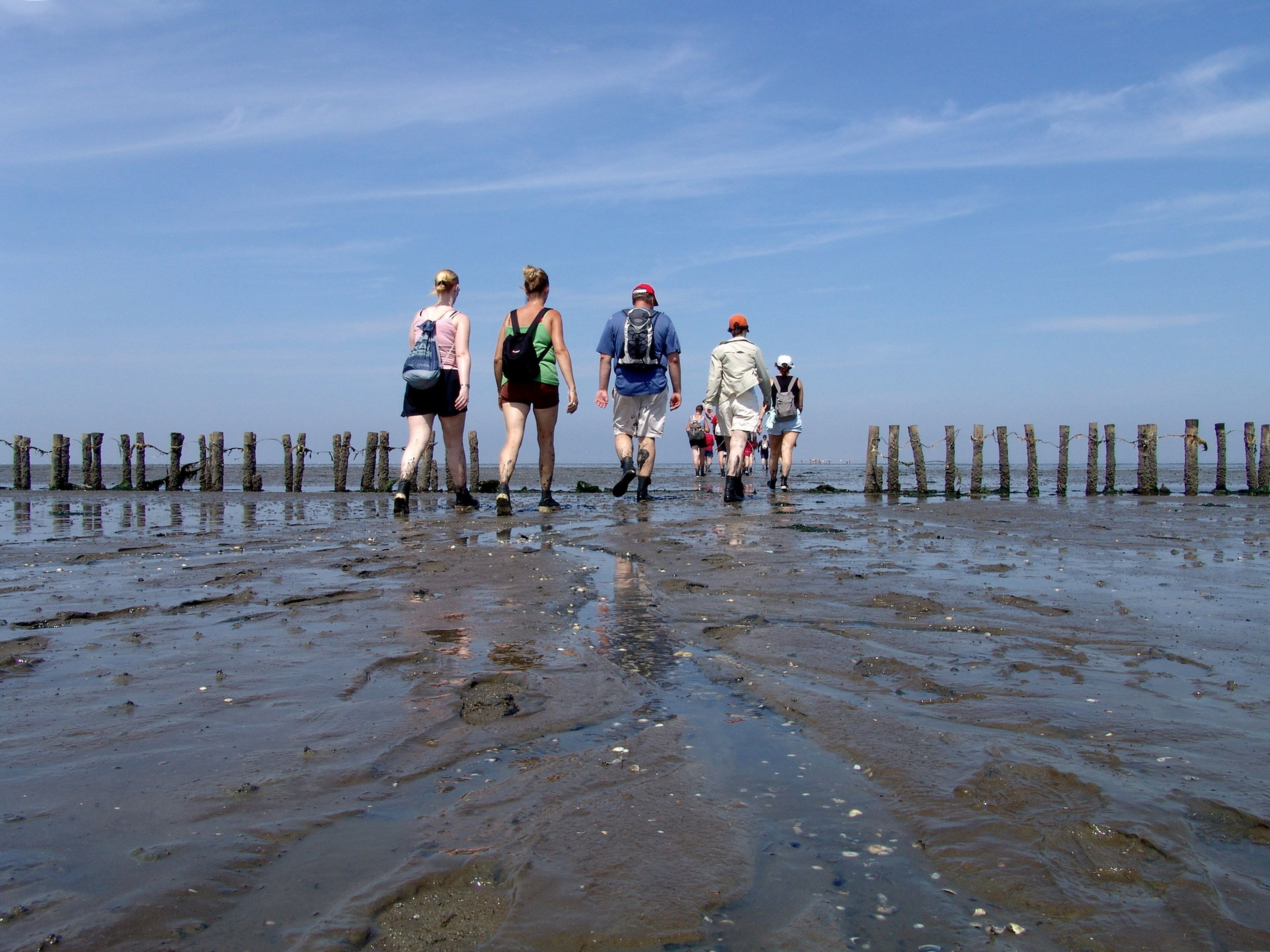 Eine Gruppe von Menschen geht über einen schlammigen Strand, im Hintergrund sind Holzpfähle zu sehen.