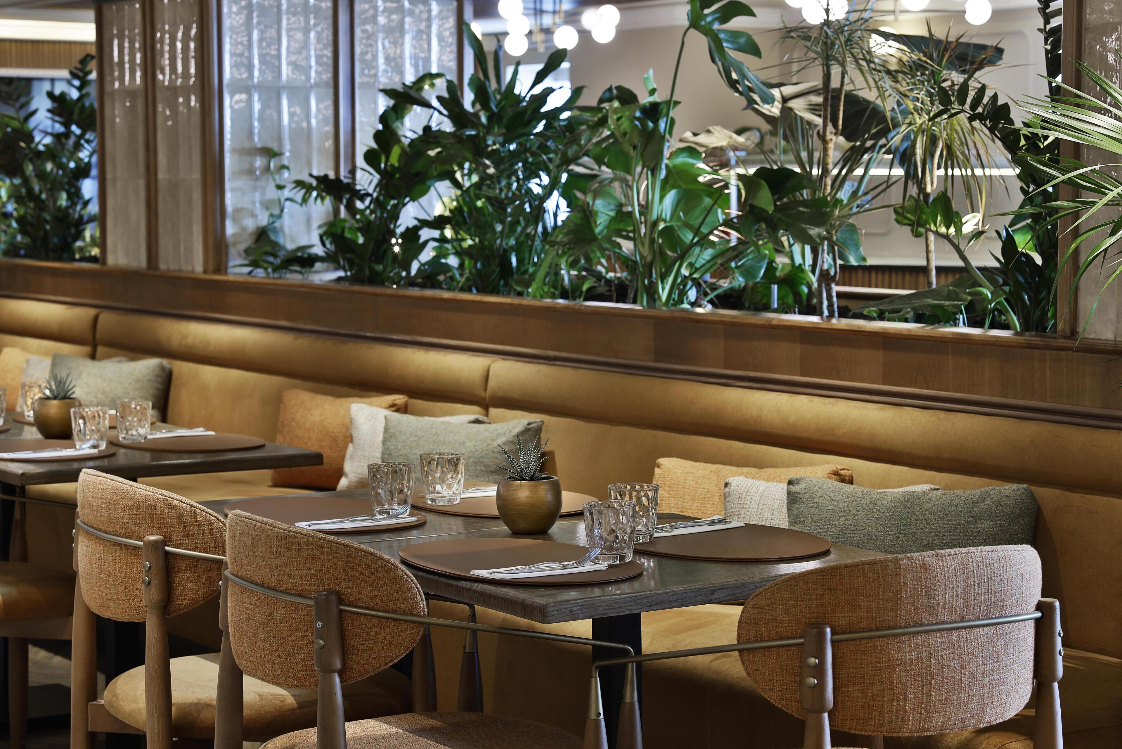 A restaurant interior with a long wooden bench, cushioned chairs, and a variety of plants in the background.