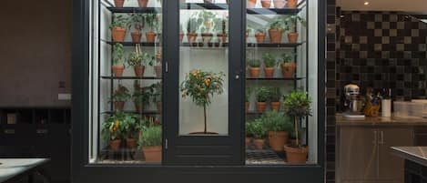 Desayuno buffet todos los días (con cargo)