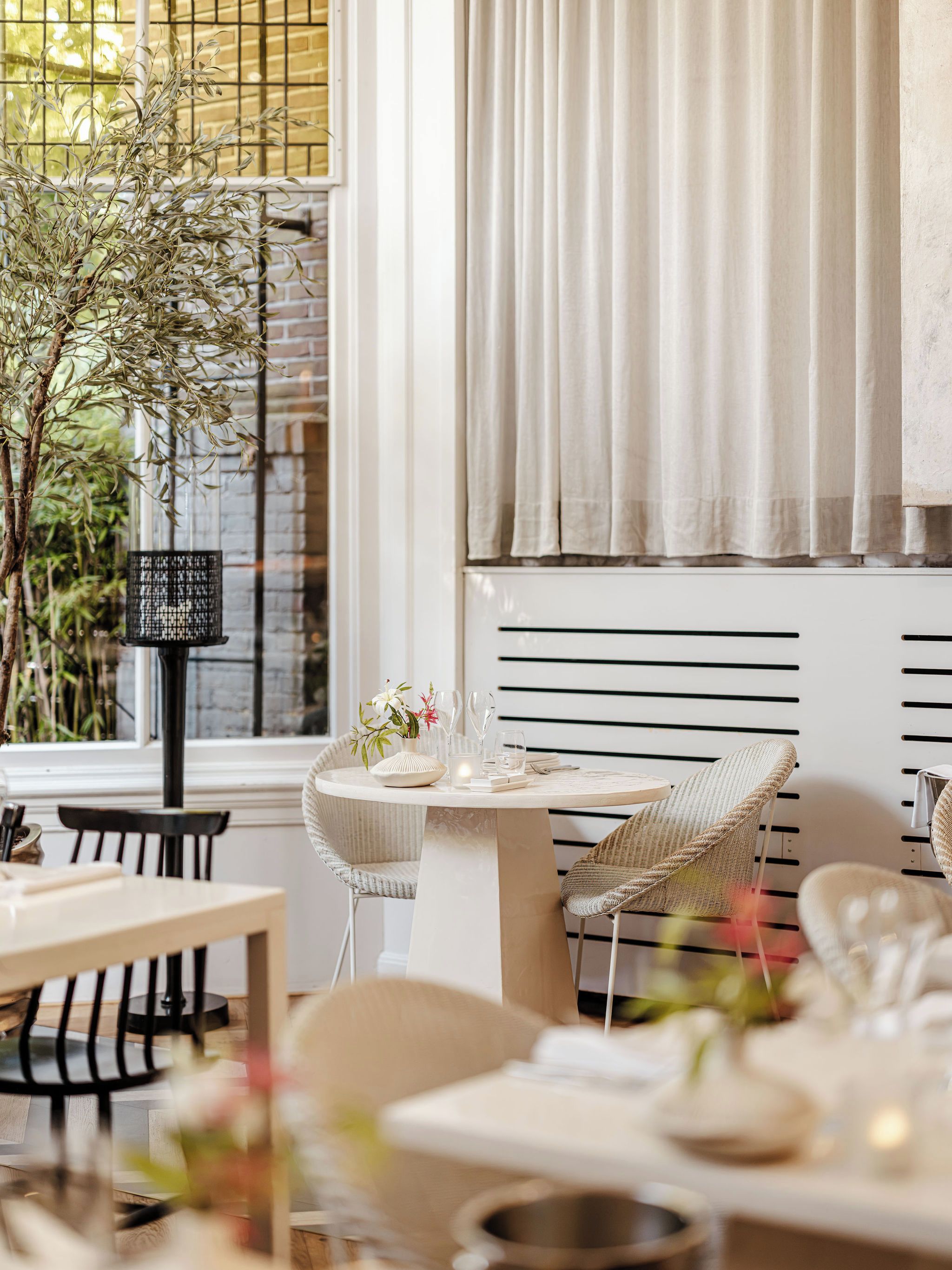 Un comedor con una mesa redonda, sillas, una planta en maceta y un ventanal con cortinas.