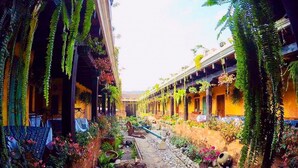 Une cour avec un chemin en pierre, des plantes en pot et des plantes grimpantes.