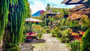 Une terrasse de jardin avec un sol en pierre, des tables dotées de coussins rouges et des plantes suspendues.