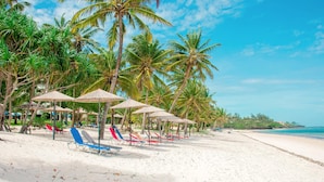 A beach with rows of palm trees, beach umbrellas, and lounge chairs. - Mombasa Continental Resort (Mombasa)