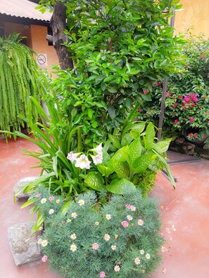 Standard Triple Room | Garden view - Hotel Primavera Antigua (Antigua Guatemala)