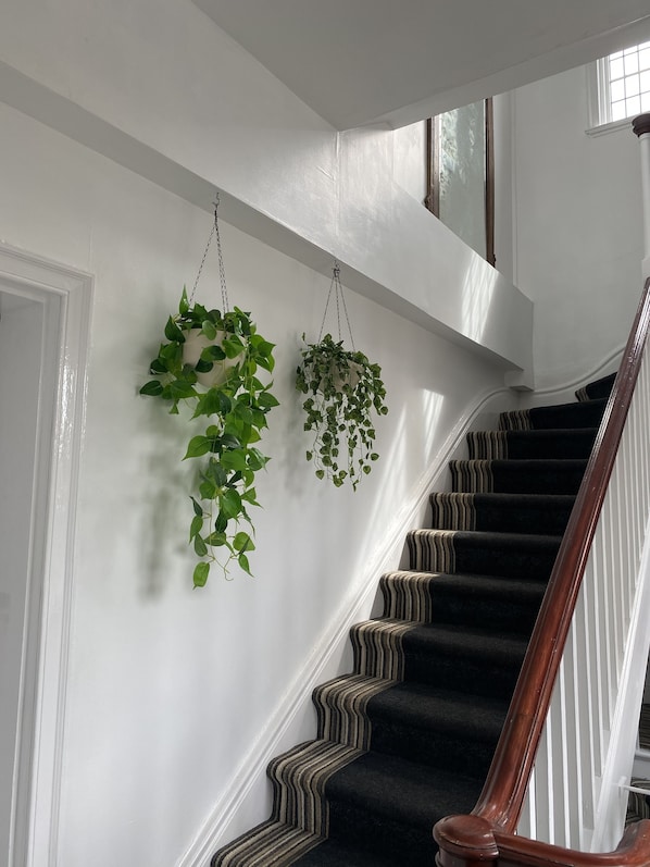 A staircase with striped carpet and a wooden handrail, leading to a landing with white walls and two hanging plants.