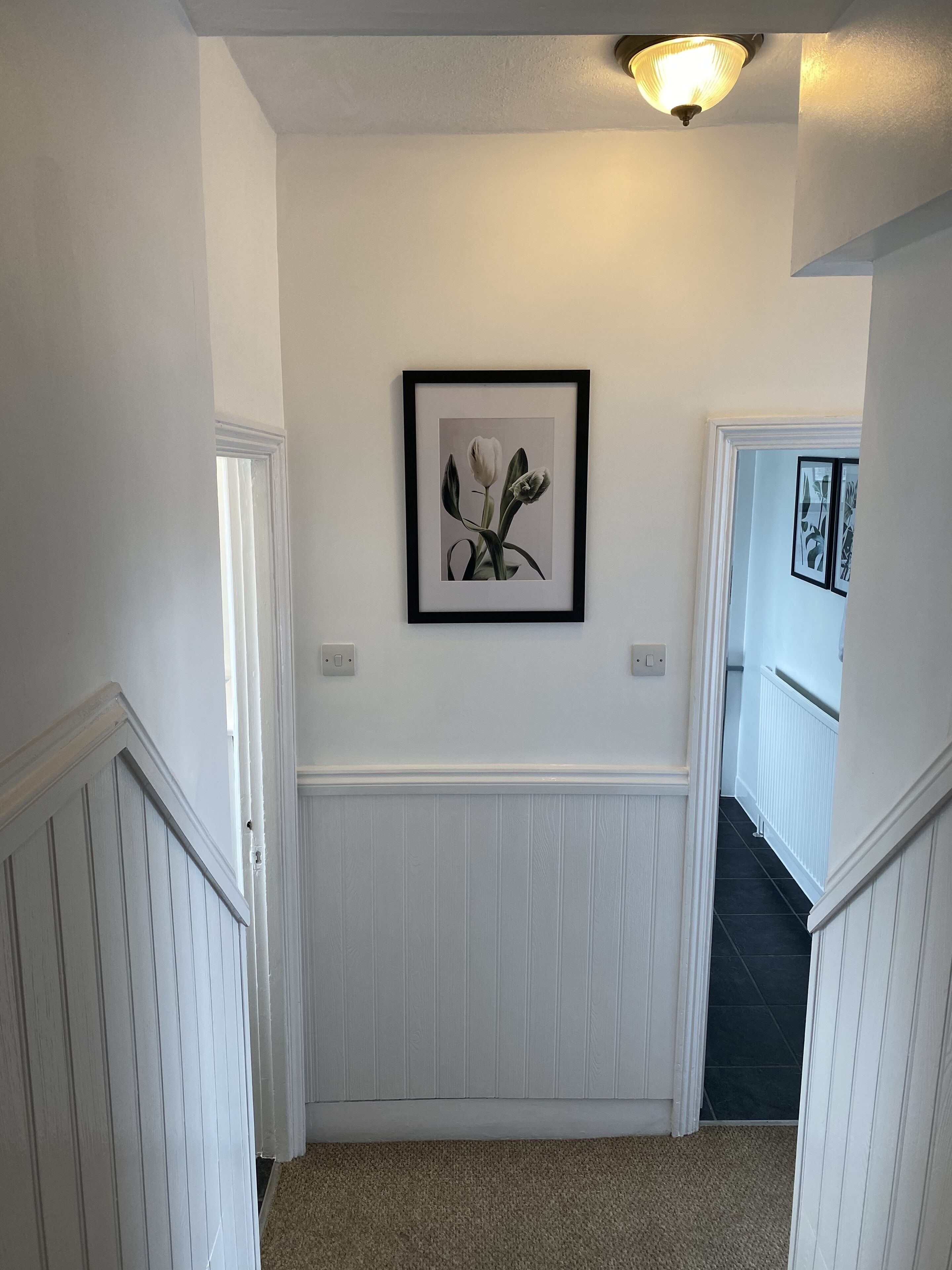 A hallway with white wainscoting, a framed floral artwork on the wall, and a carpeted floor.