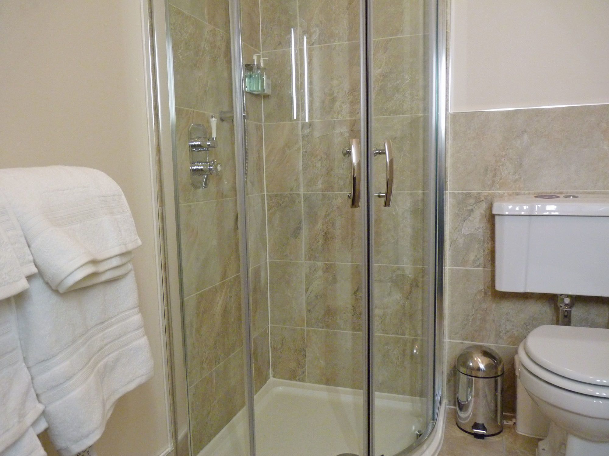 Une salle de bain avec une douche à parois de verre, des toilettes et une poubelle.