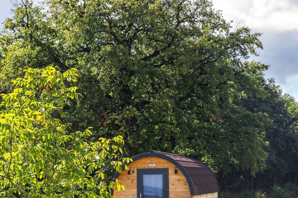 A wooden cabin with a curved roof, surrounded by lush greenery and a clear sky.