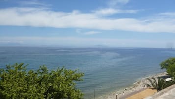 Vista desde la propiedad
