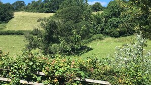 A rural landscape with a grassy field, trees, and a wooden fence. - Four Seasons Bed and Breakfast (Carmarthen)