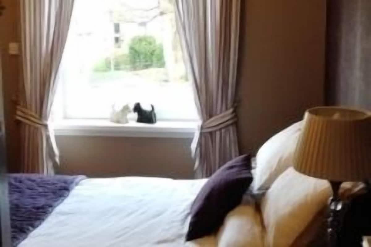 A hotel room with a bed, a window with curtains, a lamp, and a view of greenery outside.