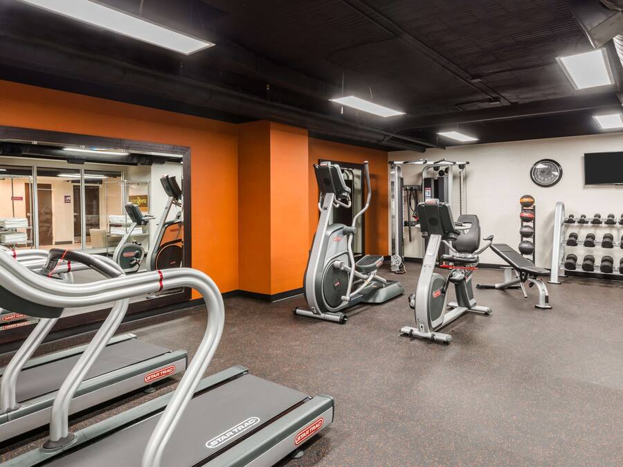 A gym with treadmills, elliptical machines, and weightlifting equipment.