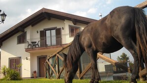 A horse grazing in front of a house with a balcony and a fenced area. - Aurora dell'Etna (Zafferana Etnea)