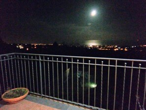 A night view from a balcony with a railing, a potted plant, and a cityscape with lights in the distance. - Aurora dell'Etna (Zafferana Etnea)