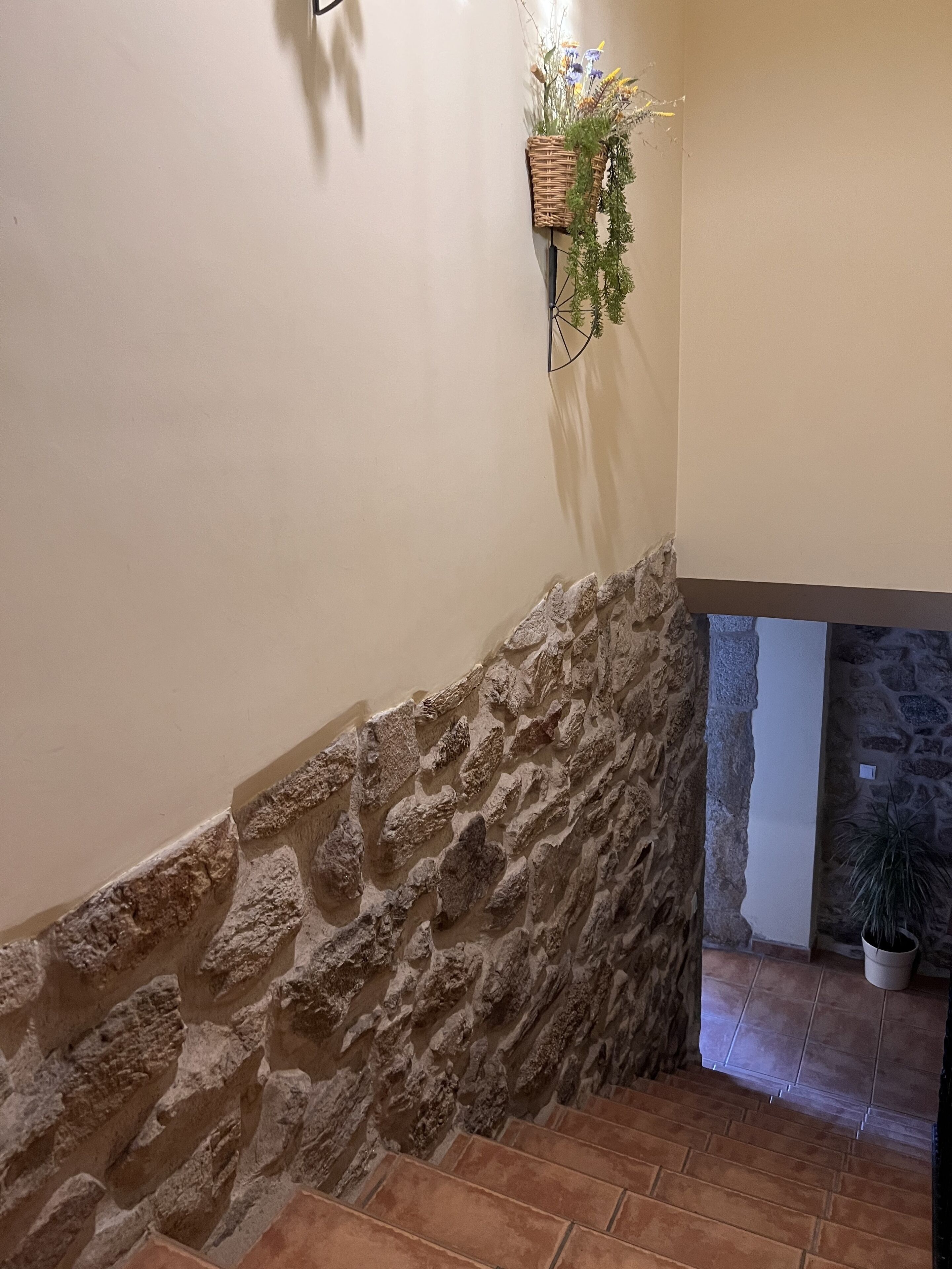 Foto - A Casa dos Cancelos- Hotel rural