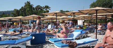 Playa privada en los alrededores, traslado desde/hacia la playa gratis