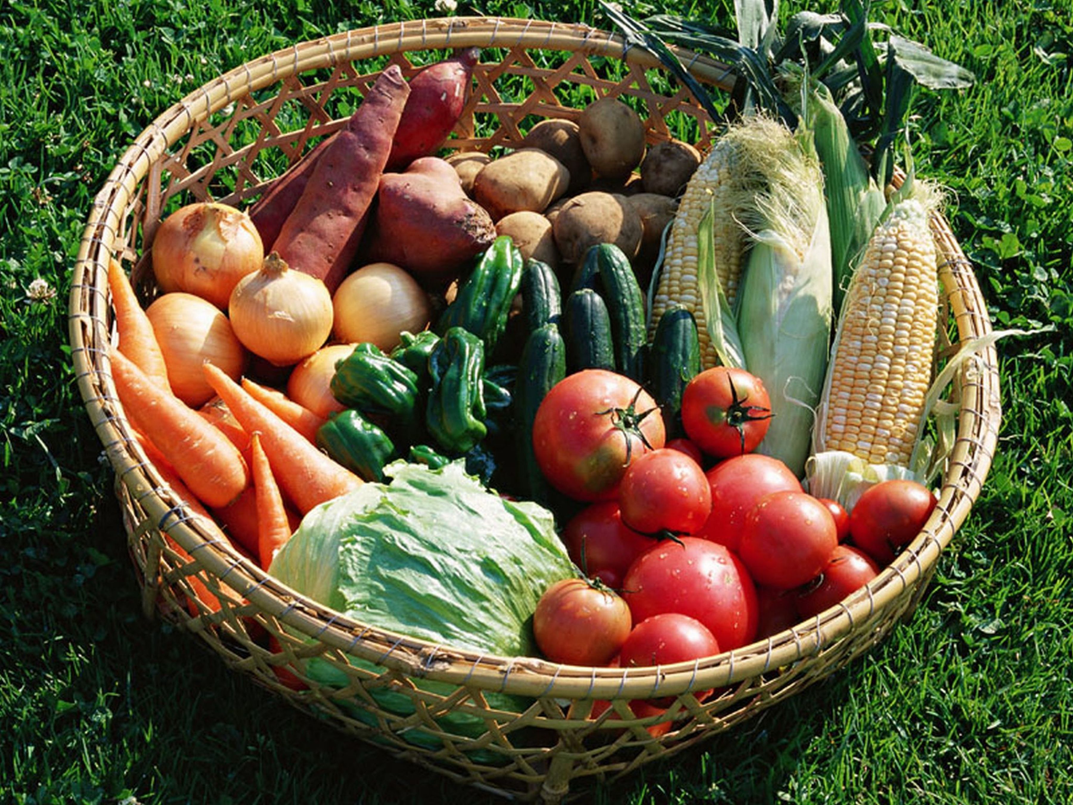 A basket filled with various vegetables including carrots, tomatoes, and corn on the cob.