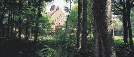 A building surrounded by dense forest.