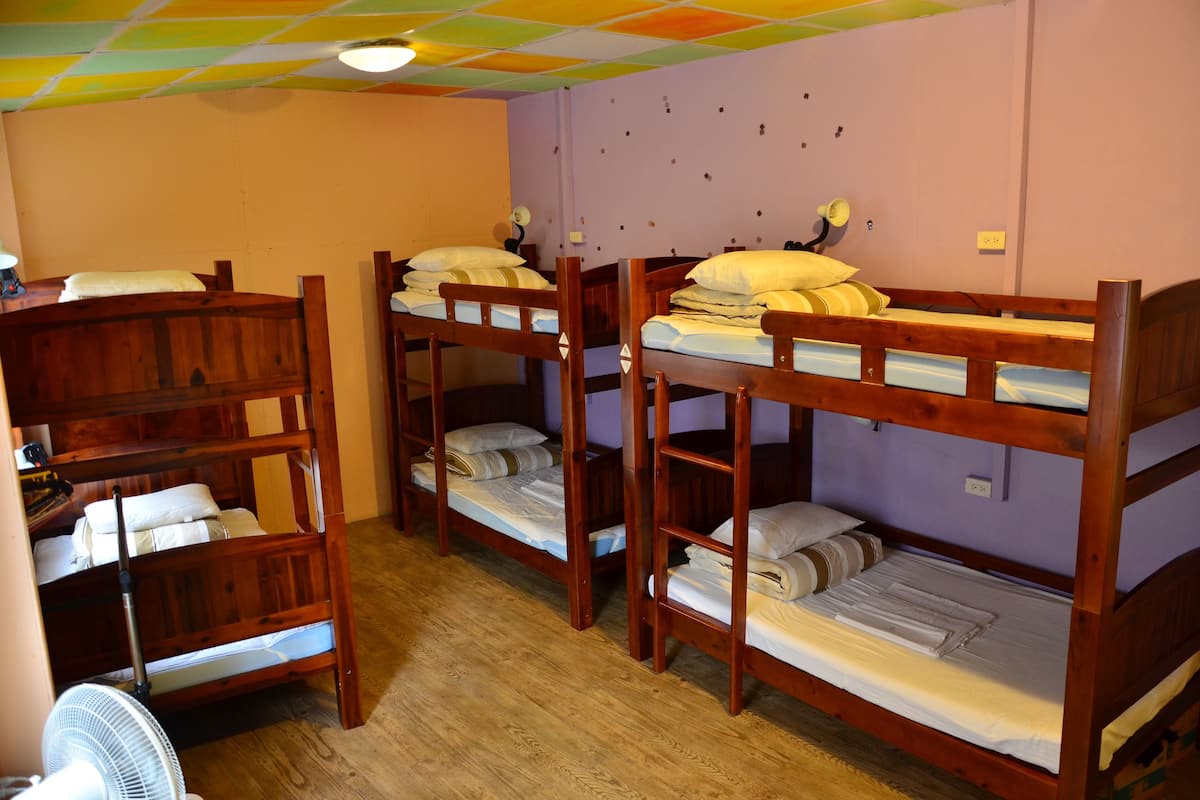 A dormitory room with bunk beds, a fan, and a wall with small decorations.