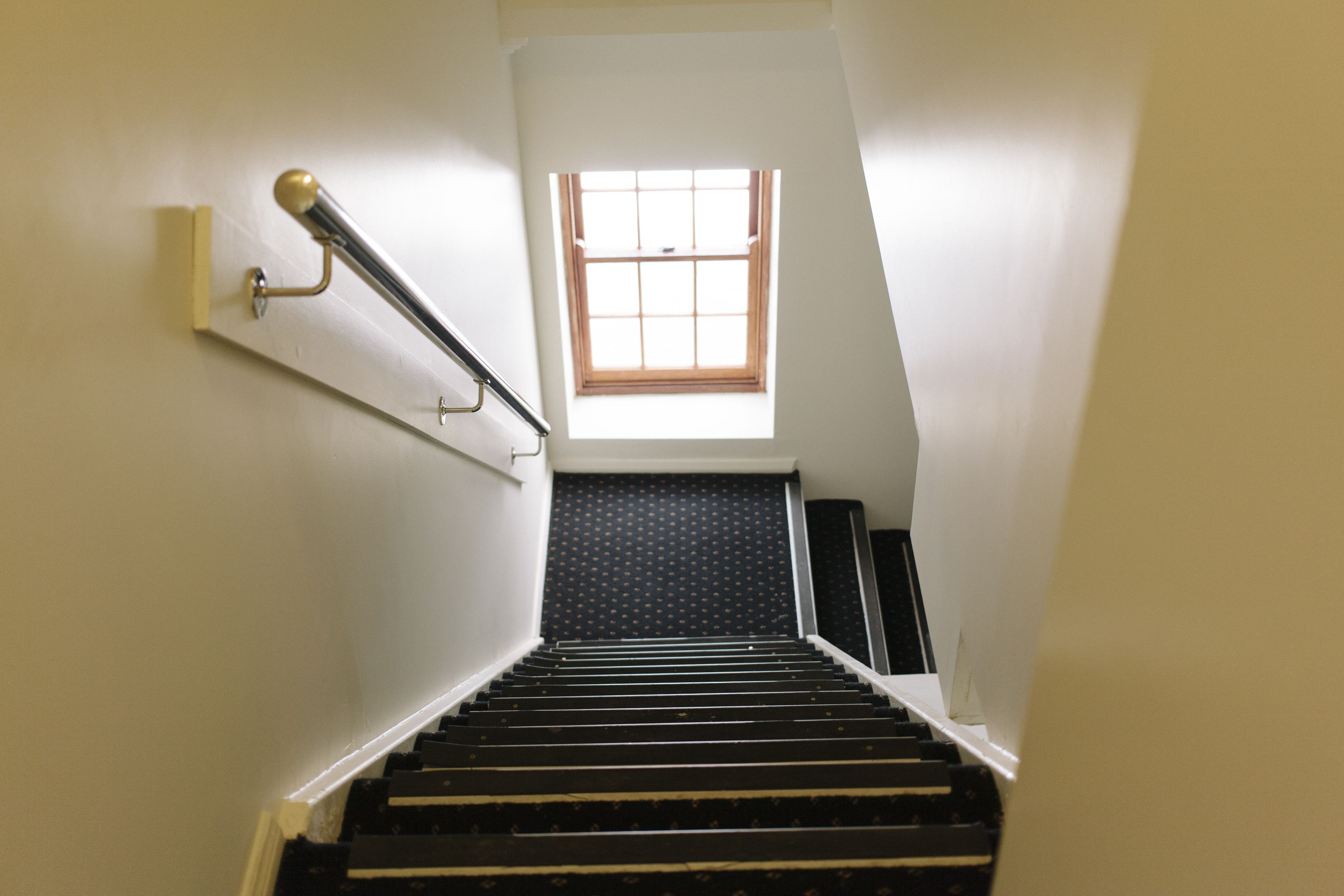 Foto - Mad Monkey Broadway