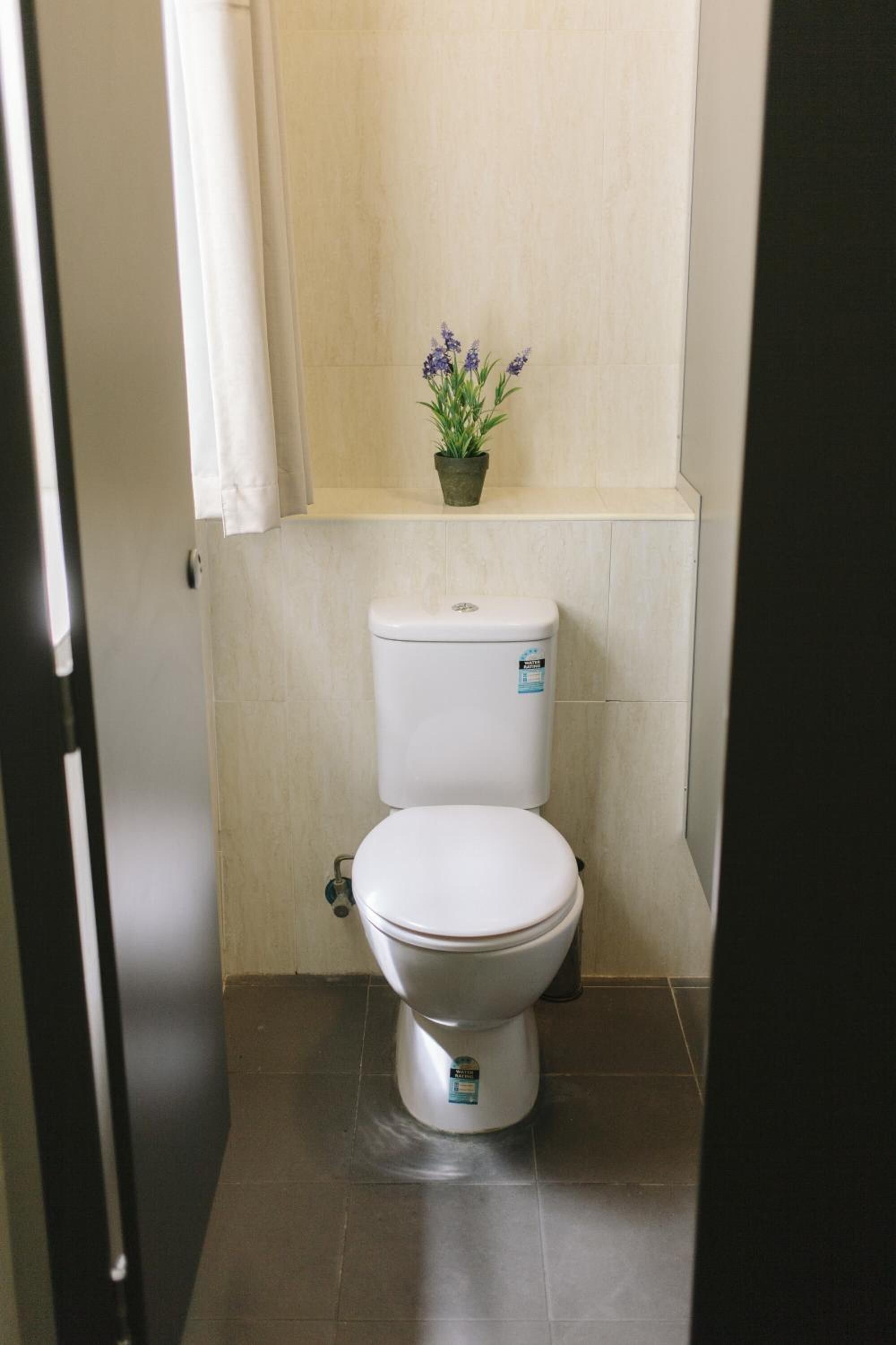 Foto - Mad Monkey Broadway