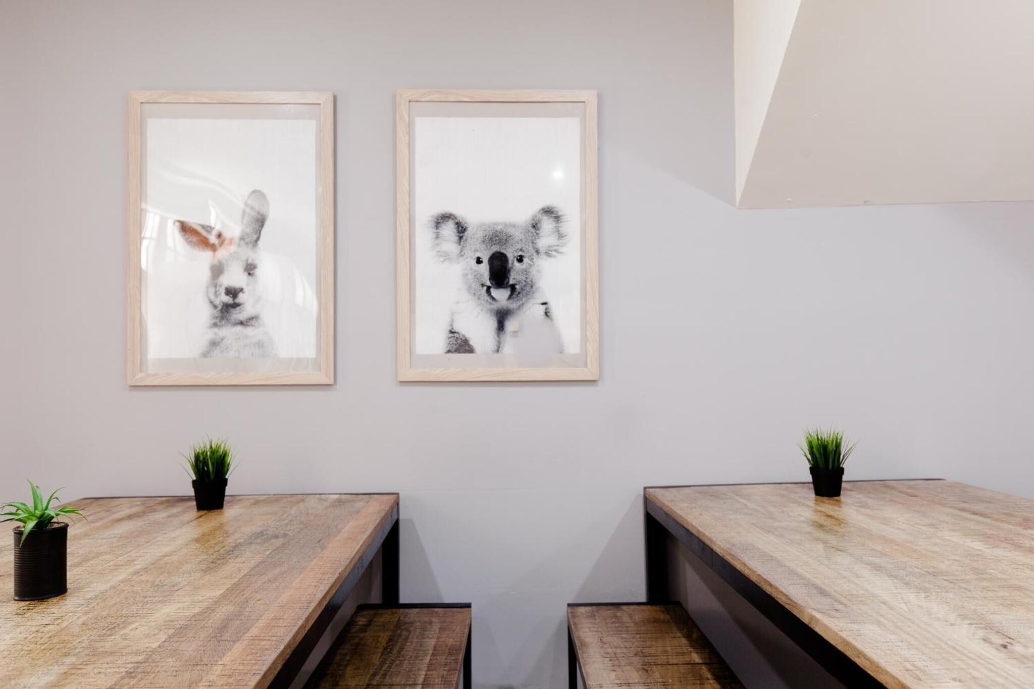 Foto - Mad Monkey Broadway