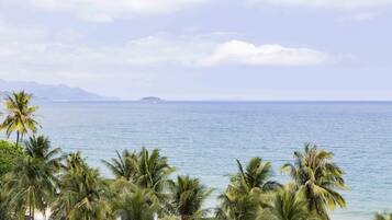 A beach with palm trees and a view of the ocean.