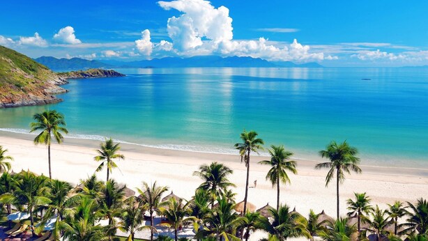 A beach with palm trees, clear blue water, and distant mountains. - Diamond Bay Hotel (Nha Trang)