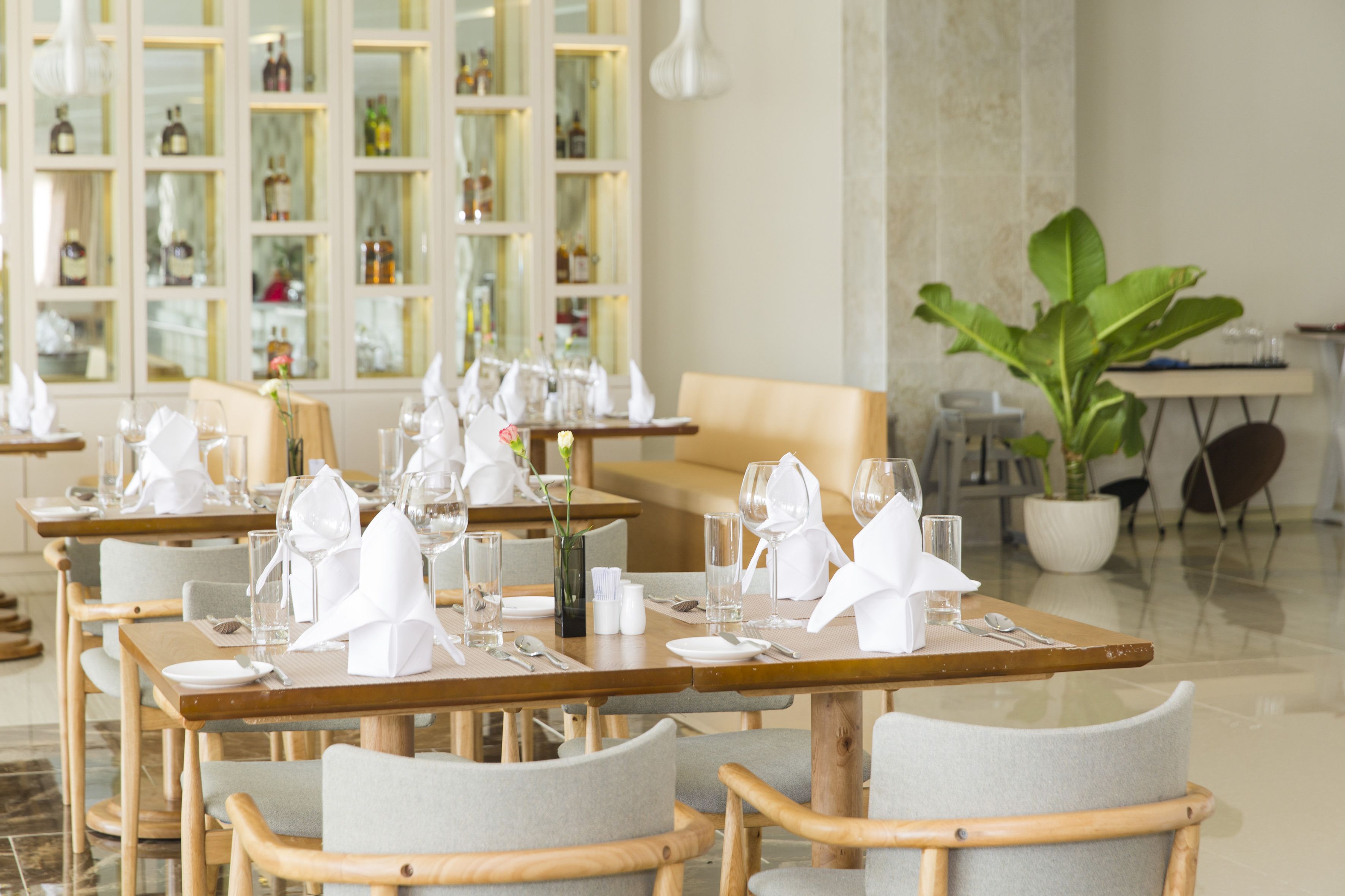 Un restaurant avec des tables dressées, des chaises et une grande plante en pot.