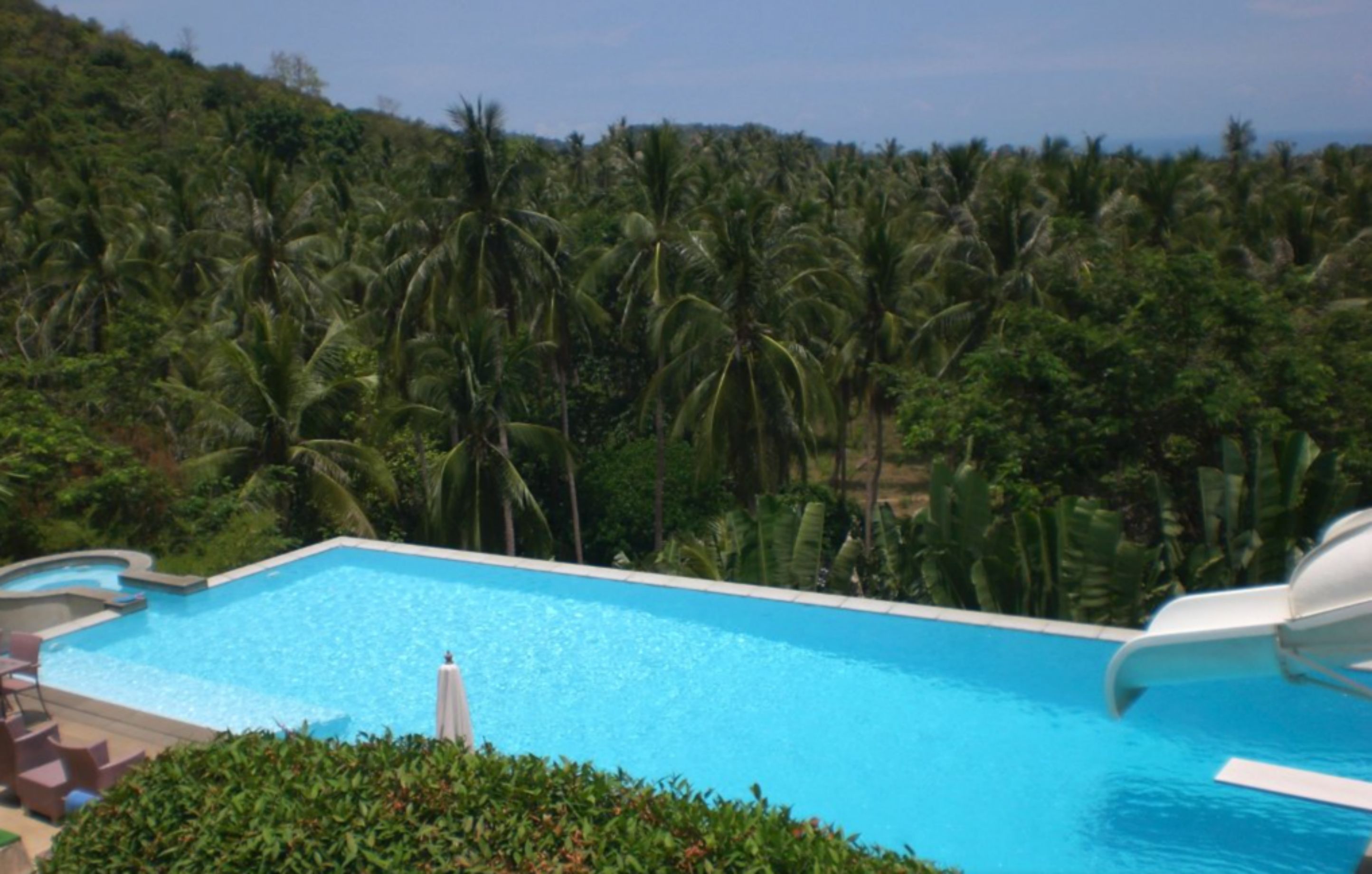 Une piscine avec un toboggan, entourée d’une végétation luxuriante et de palmiers.