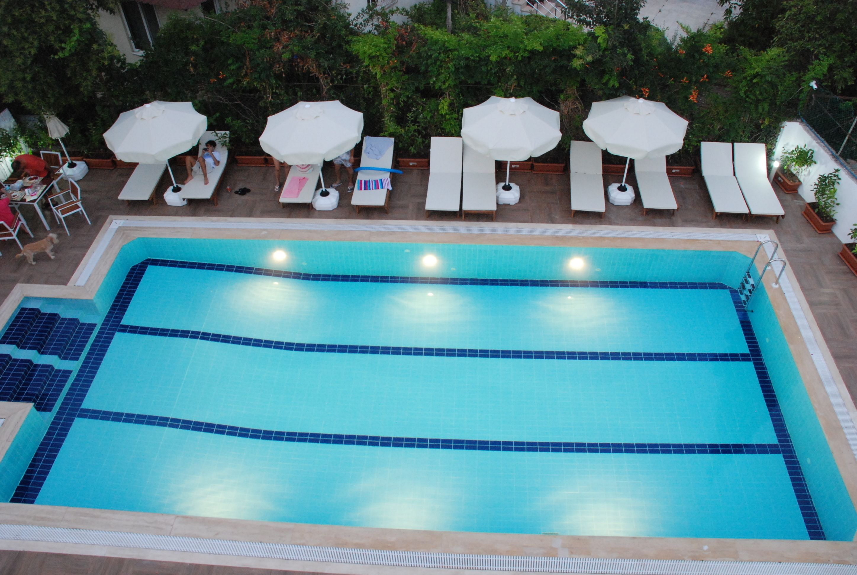 Piscina rectangular con plataforma revestida de azulejos y sillas de descanso con sombrillas.