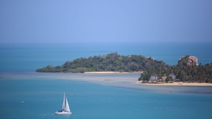 Vista desde la propiedad