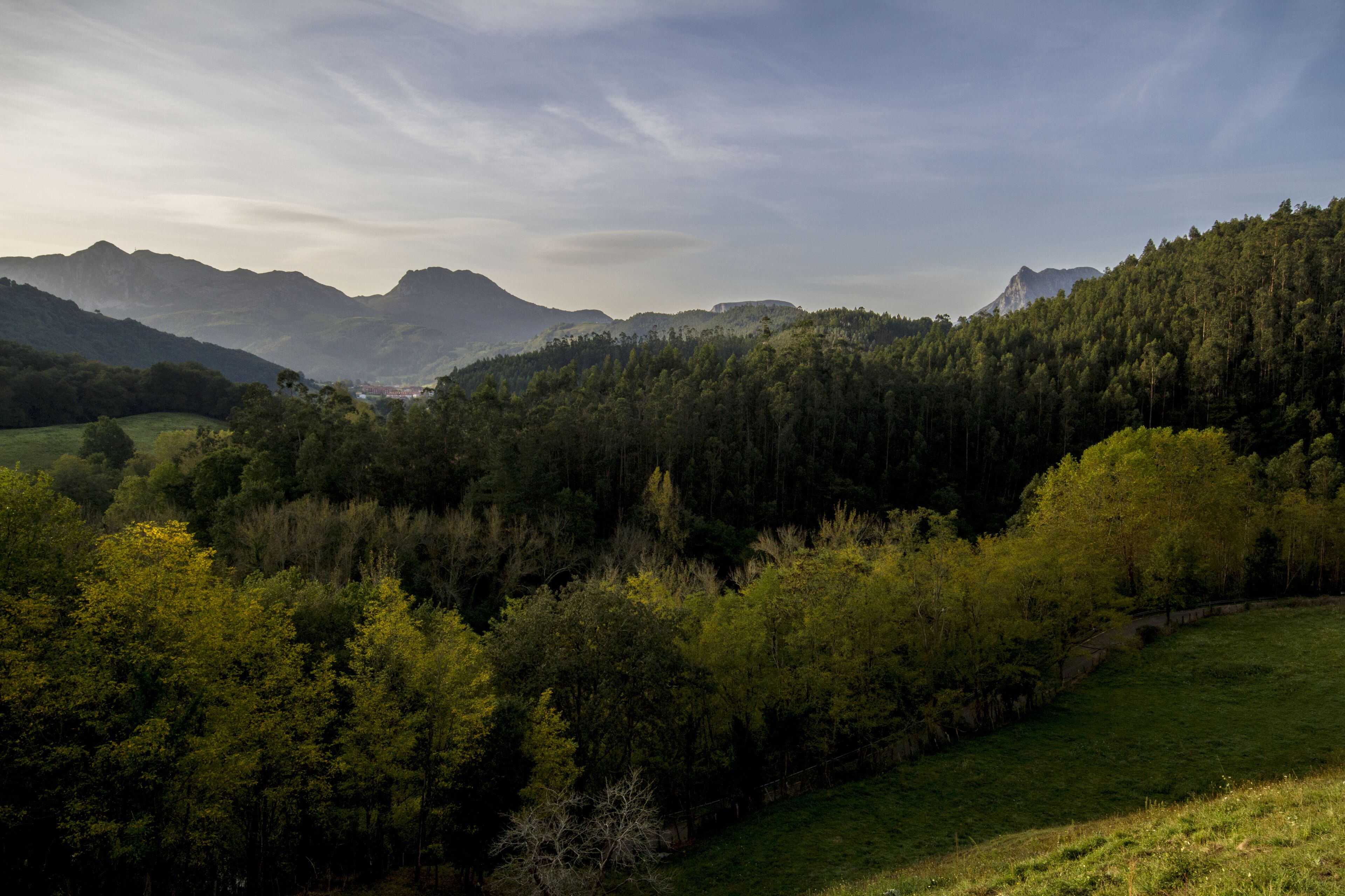 Un paysage montagneux avec de vastes forêts et un ciel dégagé.