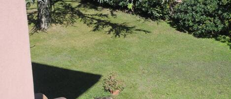 A view of a well-maintained lawn with a small potted plant, a brick wall, and a tree with dense foliage.