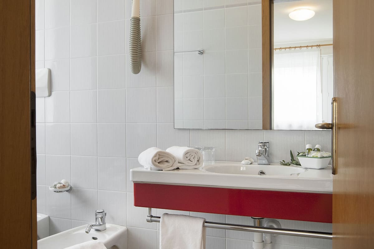 double or twin room | bathroom | shower, free toiletries, hair dryer, bidet