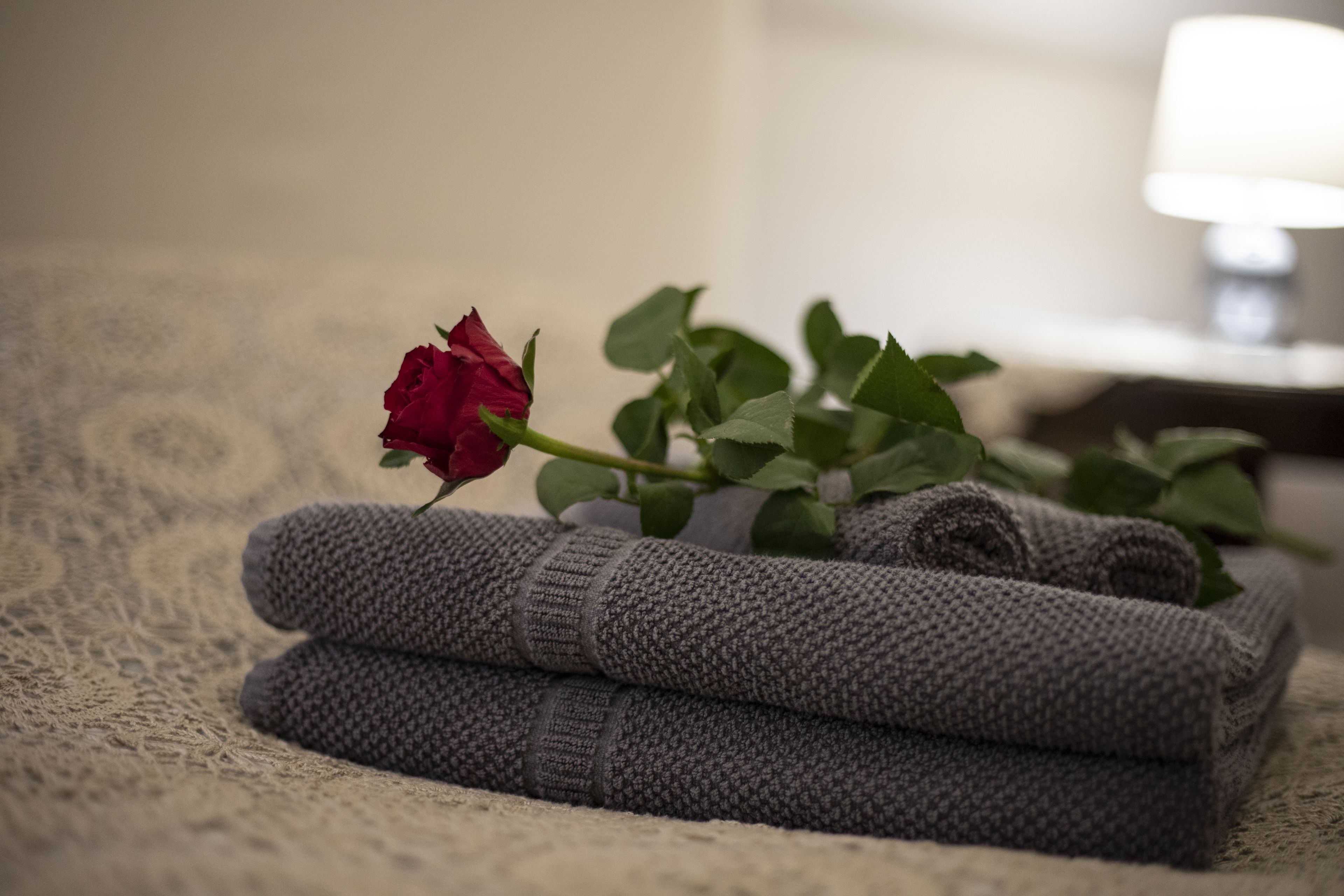 Uma toalha cinza enrolada e uma rosa vermelha sobre uma superfície texturizada.