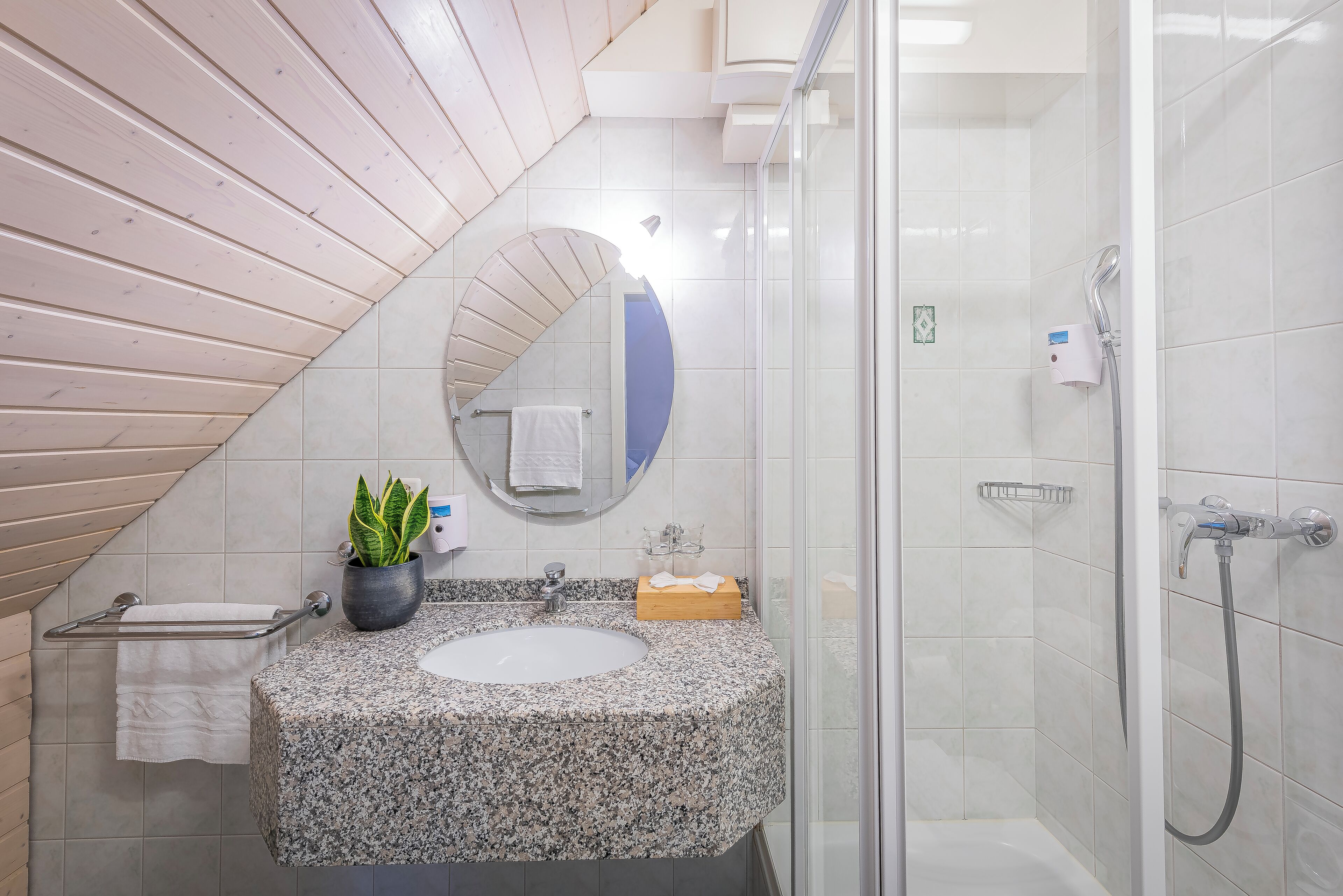 Deluxe Double Room | Bathroom | Shower, free toiletries, hair dryer, towels
