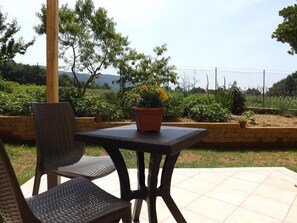 Triple Room | Terrace/patio