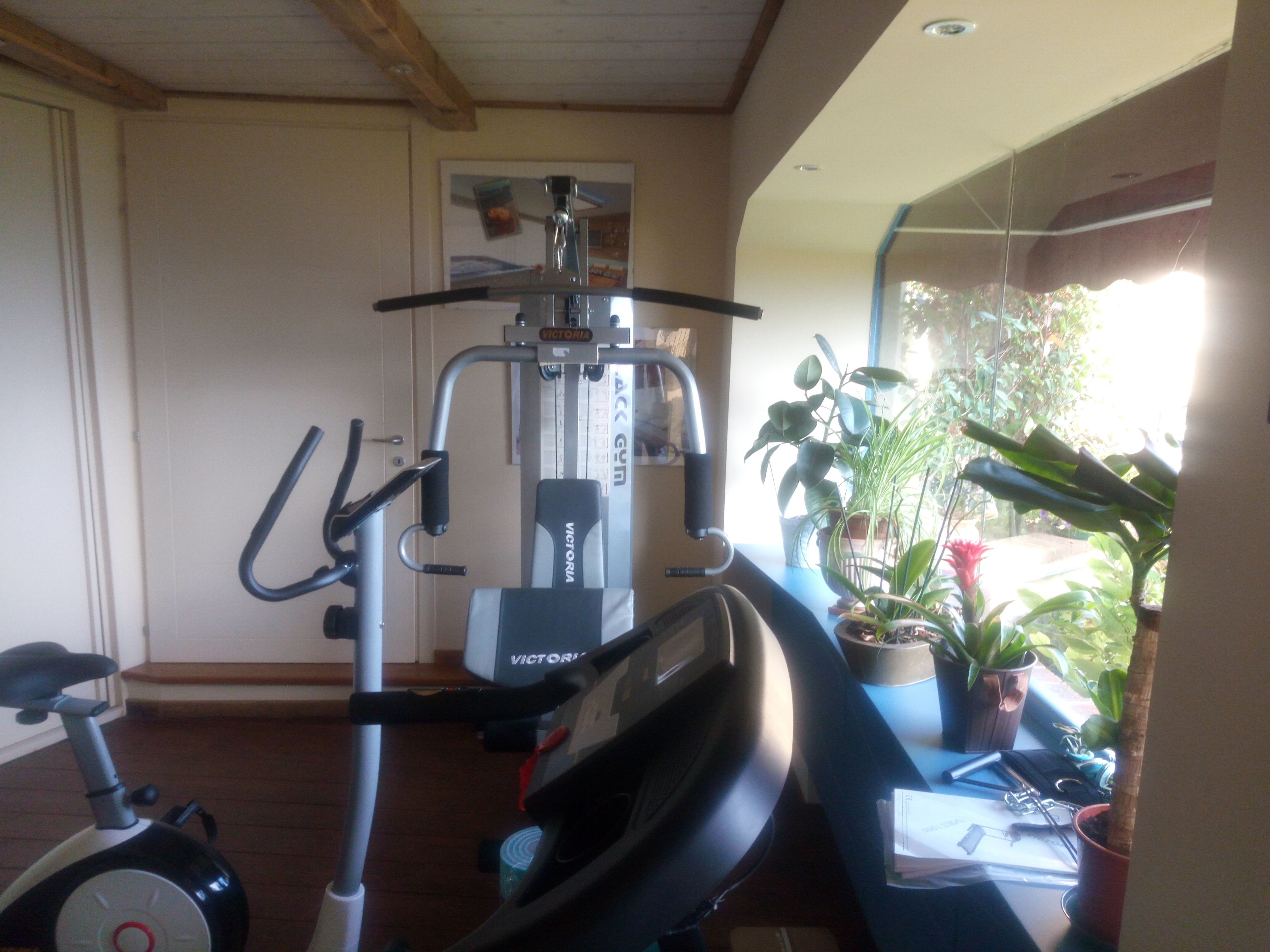 Un gimnasio en casa con una bicicleta estática, un banco de pesas y un banco con mancuernas. Se ve un ventanal con vistas a zonas verdes.