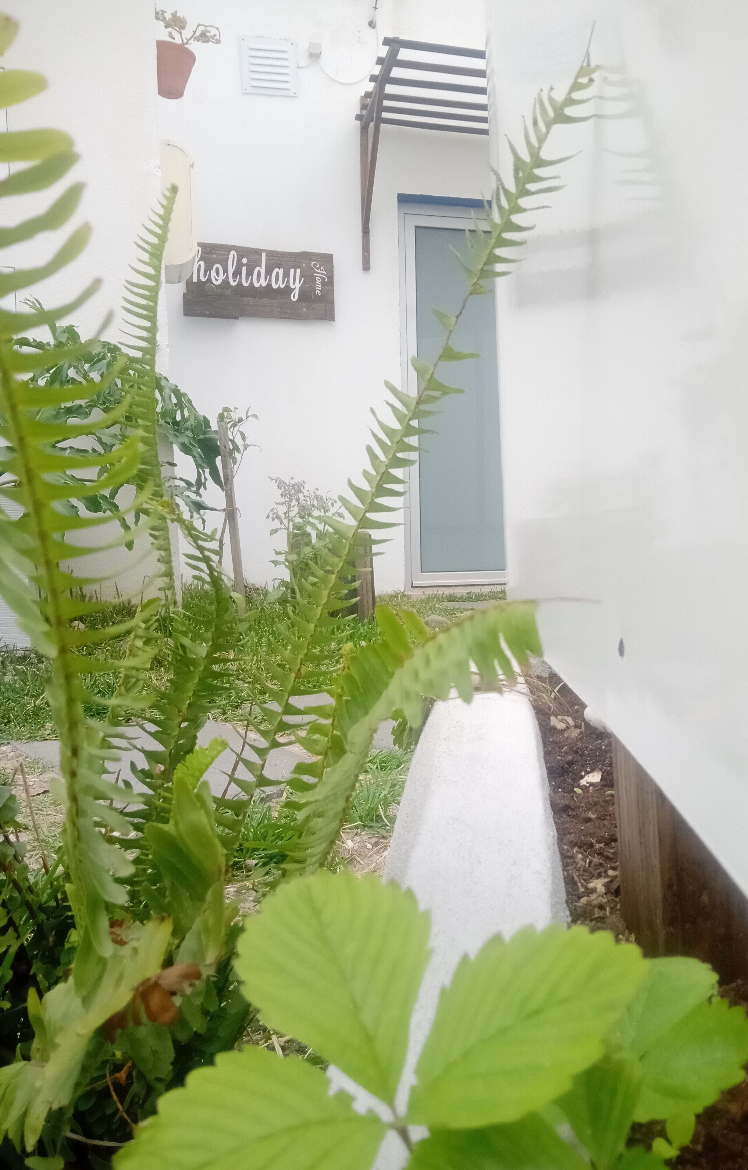 Foto - Residencia Praia Norte - AL