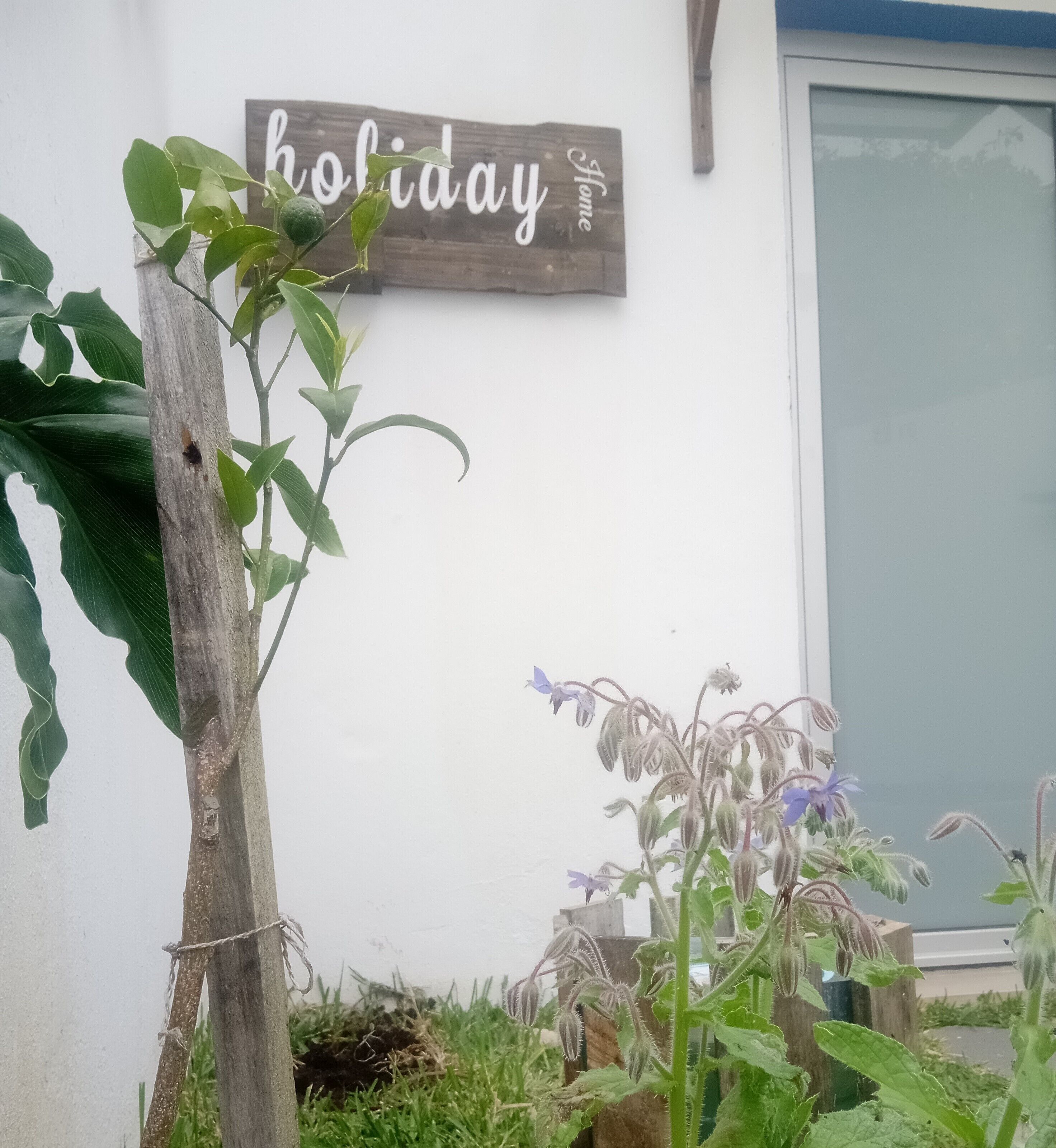 Foto - Residencia Praia Norte - AL