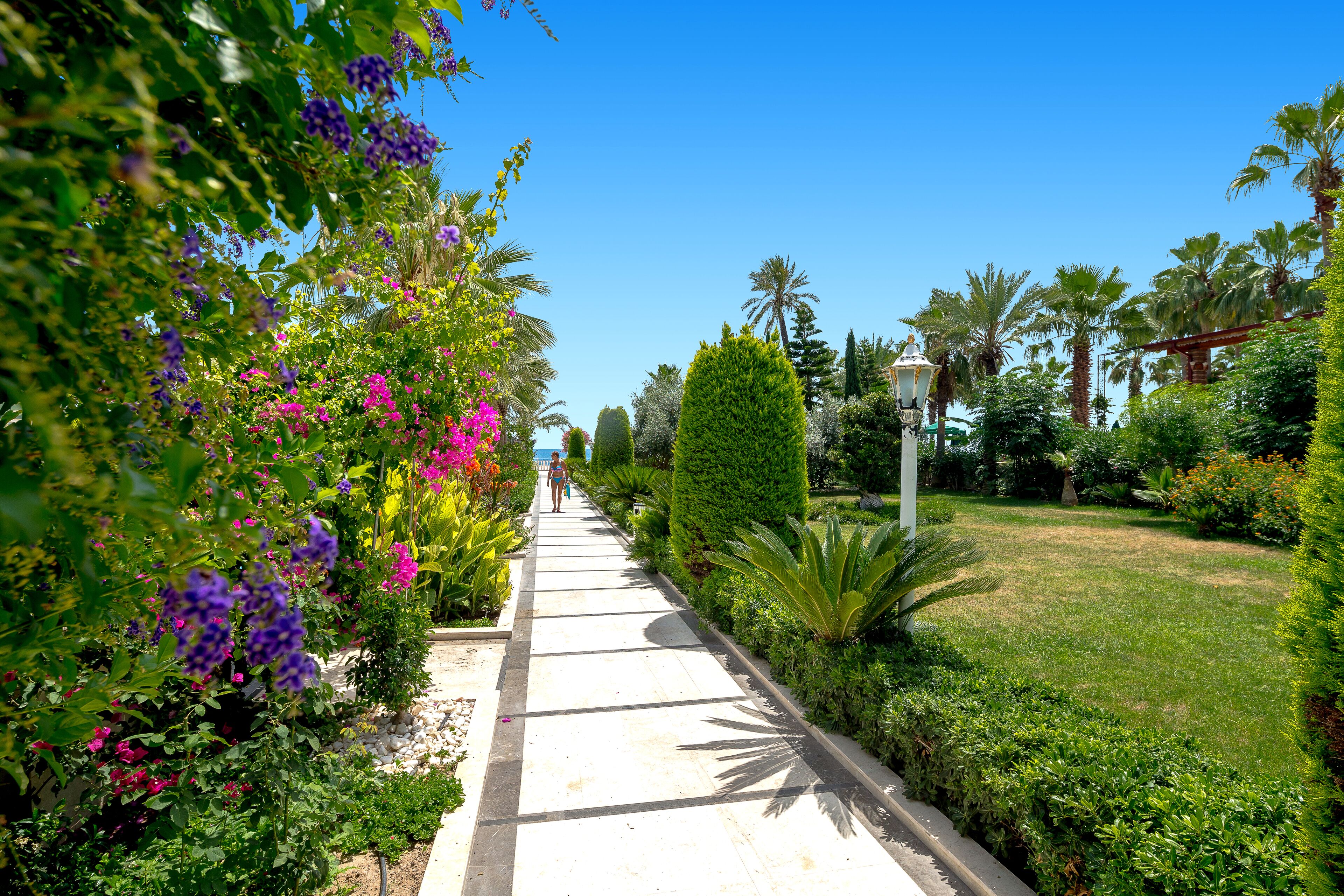 Jardín