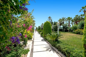 Taman