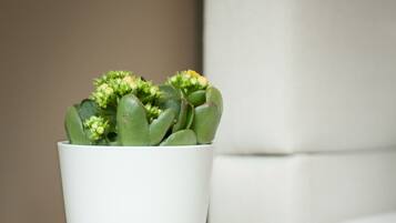 Una planta blanca en maceta sobre una mesa de madera en una habitación con un sofá gris.