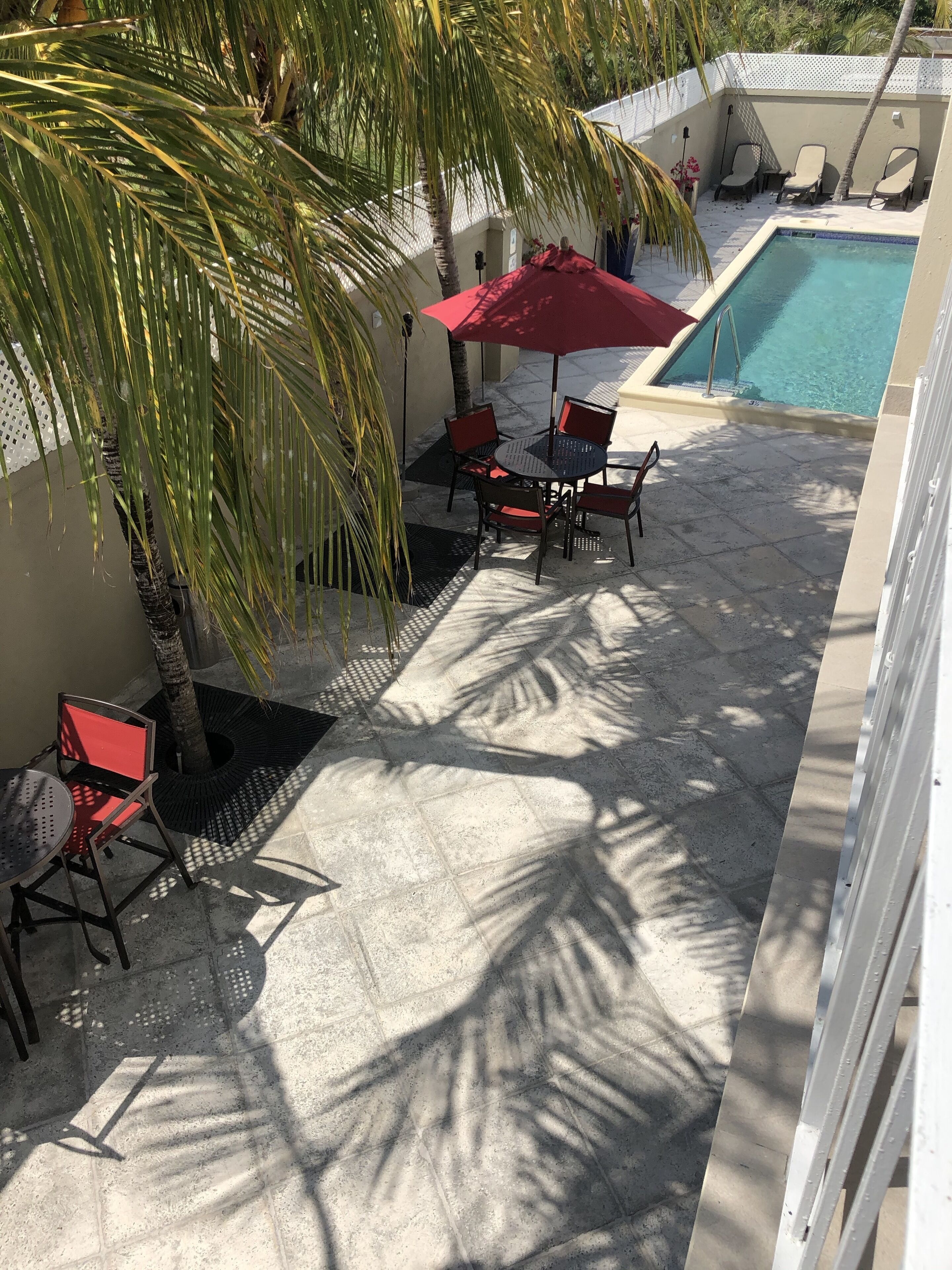 A poolside area with a red umbrella, chairs, and a palm tree.