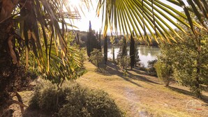 Un sentier qui mène à un plan d’eau bordé de palmiers et d’arbustes.