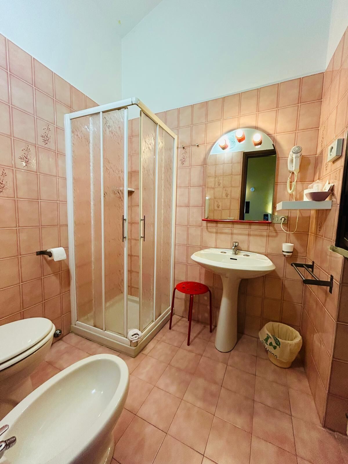 shower, free toiletries, hair dryer, bidet