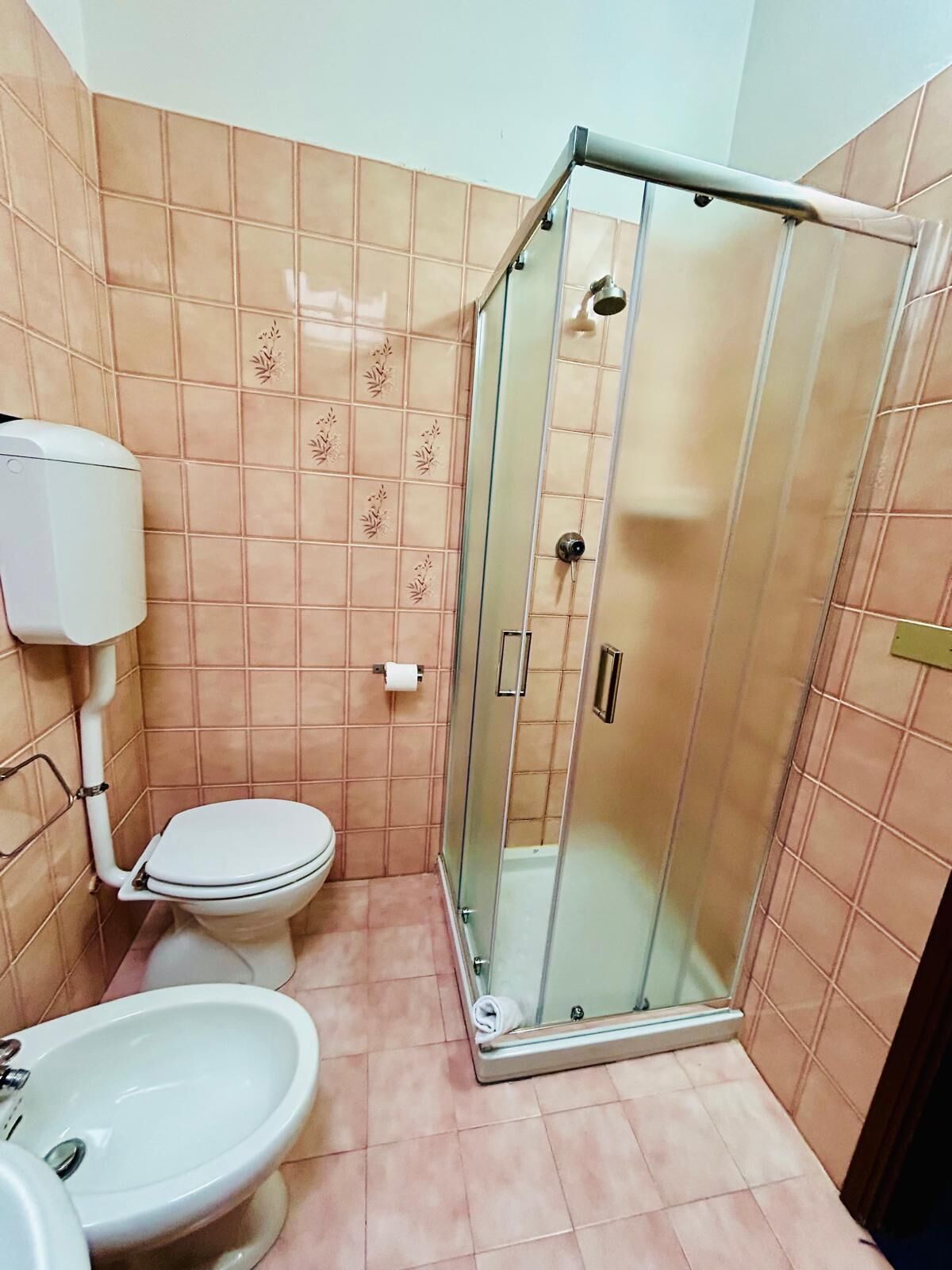 shower, free toiletries, hair dryer, bidet