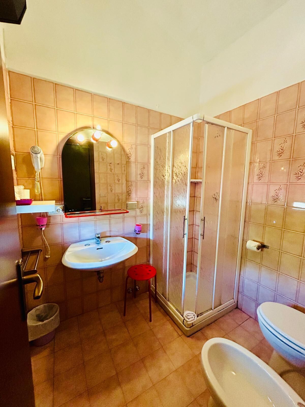 shower, free toiletries, hair dryer, bidet